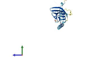 Protein Structure (PS) image for A Kinase (PRKA) Anchor Protein 14 (AKAP14) (AA 1-197) protein (His tag) (ABIN7551937)