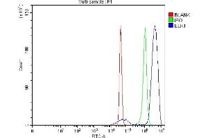 Flow Cytometry analysis of SiHa cells using anti-ELK1 antibody (ABIN7601628). (ELK1 Antikörper  (AA 4-52))