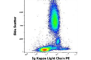 Flow cytometry surface staining pattern of human peripheral whole blood stained using anti-human Ig Kappa Light Chain (TB28-2) PE antibody (10 μL reagent / 100 μL of peripheral whole blood). (kappa Light Chain Antikörper  (PE))