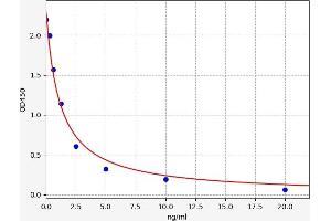 Slco1a1 ELISA Kit