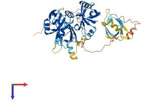 PDZD3 Protein (AA 1-498) (His tag)