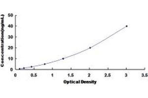 Typical standard curve (BNIP3 ELISA Kit)