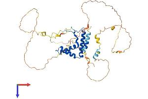 SOX7 Protein (AA 1-388) (His tag)