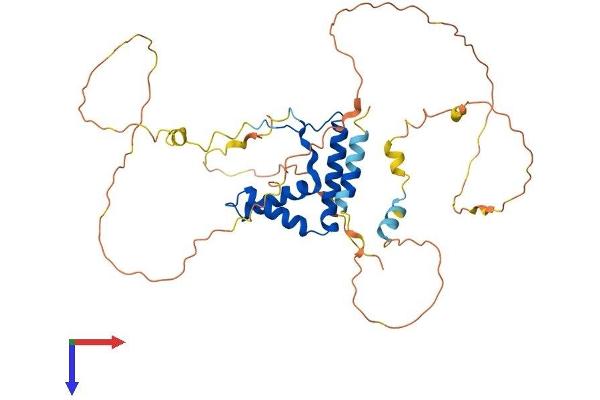 SOX7 Protein (AA 1-388) (His tag)