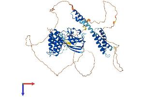 GGA3 Protein (AA 1-718) (His tag)