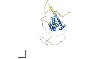 Protein Structure (PS) image for LIM Homeobox 4 (LHX4) (AA 1-390) protein (His tag) (ABIN7563437)