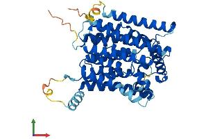 Protein Structure (PS) image for Phosphatidylinositol Glycan M (PIGM) (AA 1-423) protein (His tag) (ABIN7550777)