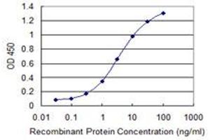 Detection limit for recombinant GST tagged DAPK2 is 0. (DAPK2 Antikörper  (AA 281-370))