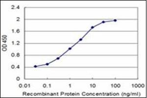 ELISA image for anti-Neuropeptide Y (NPY) antibody (ABIN953680) (NPY Antikörper)
