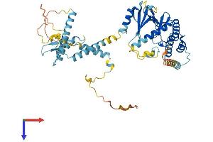RIOK3 Protein (AA 1-519) (His tag)
