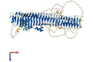 FBXO10 Protein (AA 1-956) (His tag)