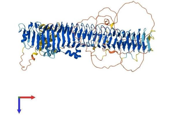 FBXO10 Protein (AA 1-956) (His tag)