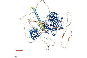 AlphaFold protein structure predicition of Mouse Recombinant Galnt5 Protein, UniprotID Q8C102 (GALNT5 Protein (AA 1-930) (His tag))