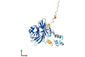 Protein Structure (PS) image for Neuralized Homolog 2 (NEURL2) (AA 1-285) protein (His tag) (ABIN7549829)