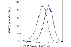 Validation of ACAP2 knockdown using flow cytometry. (Rekombinanter Centaurin beta 2 Antikörper)