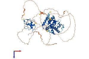 Protein Structure (PS) image for Nuclear Receptor Subfamily 4, Group A, Member 3 (NR4A3) (AA 1-627) protein (His tag) (ABIN7565165)