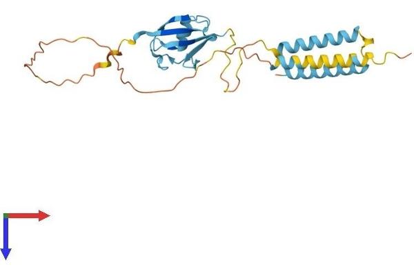 TMUB1 Protein (AA 1-246) (His tag)