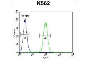 Flow Cytometry (FACS) image for anti-DEAD/H (Asp-Glu-Ala-Asp/His) Box Polypeptide 11 (DDX11) (AA 819-847), (C-Term) antibody (ABIN655503)