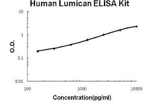 Human Lumican PicoKine ELISA Kit standard curve