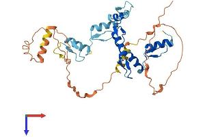 GFI1B Protein (AA 1-330) (His tag)