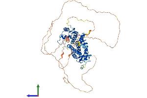 Protein Structure (PS) image for Nuclear Receptor Subfamily 4, Group A, Member 2 (NR4A2) (AA 1-598) protein (His tag) (ABIN7549905)