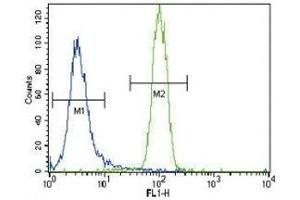HNF4A antibody flow cytometric analysis of NCI-H460 cells (right histogram) compared to a negative control (left histogram). (HNF4A Antikörper  (AA 281-312))