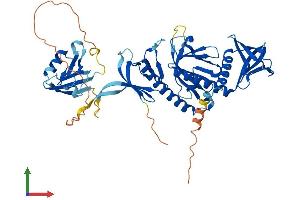 AlphaFold protein structure predicition of Human Recombinant SNTG1 Protein, UniprotID Q9NSN8