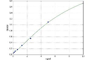 A typical standard curve (KRT20 ELISA Kit)