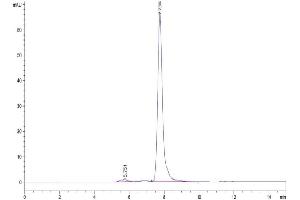 The purity of Mouse TLT-1 is greater than 95 % as determined by SEC-HPLC.