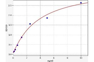 Typical standard curve (Casein Kinase 1 delta ELISA Kit)