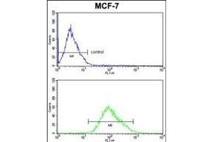 PDK3 Antibody (ABIN652286 and ABIN2841205) FC analysis of MCF-7 cells (bottom histogram) compared to a negative control cell (top histogram). (PDK3 Antikörper)