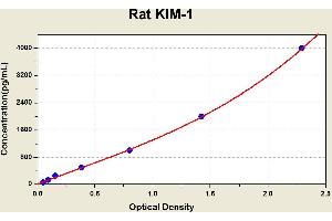 Diagramm of the ELISA kit to detect Rat K1 M-1with the optical density on the x-axis and the concentration on the y-axis.