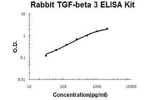 Rabbit TGF-beta 3 PicoKine ELISA Kit standard curve (TGFB3 ELISA Kit)
