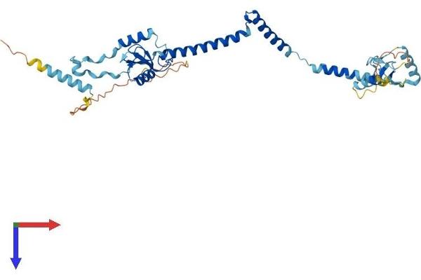 RNF32 Protein (AA 1-368) (His tag)