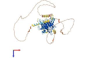 TULP1 Protein (AA 1-542) (His tag)