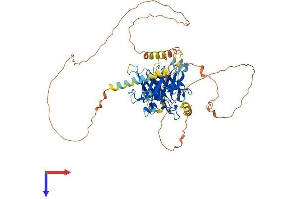 TULP1 Protein (AA 1-542) (His tag)