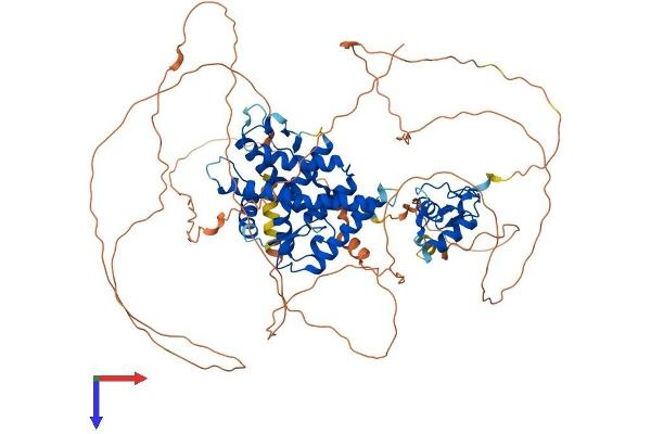Glucocorticoid Receptor Protein (AA 1-777) (His tag)