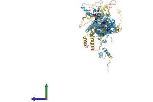Protein Structure (PS) image for Tubulin, gamma Complex Associated Protein 5 (TUBGCP5) (AA 1-1024) protein (His tag) (ABIN7554011)