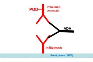 Image no. 1 for Infliximab Antibody ELISA Kit (ABIN2862658) (Infliximab Antibody ELISA Kit)