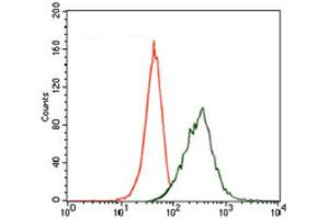 Flow Cytometry (FACS) image for anti-Microtubule-Associated Protein 2 (MAP2) (AA 24-123) antibody (ABIN1846128) (MAP2 Antikörper  (AA 24-123))