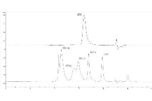 The purity of Human CD73, His Tag (Hied) (ABIN6731289,ABIN6809998,ABIN6809999) was greater than 90 % as determined by . (CD73 Protein (AA 27-549) (His tag))