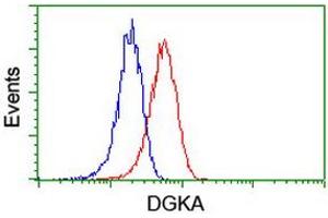 Flow cytometric Analysis of Jurkat cells, using anti-DGKA antibody (ABIN2455378), (Red), compared to a nonspecific negative control antibody, (Blue).