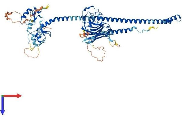 TRIM47 Protein (AA 1-638) (His tag)