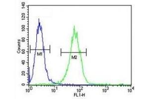 SOX4 antibody flow cytometric analysis of A2058 cells (green) compared to a  (SOX4 Antikörper  (AA 86-114))