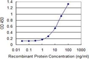 Detection limit for recombinant GST tagged OXSR1 is 0. (OXSR1 Antikörper  (AA 1-527))