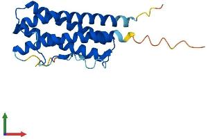 Protein Structure (PS) image for Ciliary Neurotrophic Factor (CNTF) (AA 1-198) protein (His tag) (ABIN7563385)