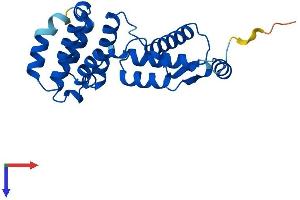 GID8/C20orf11 Protein (AA 1-228) (His tag)