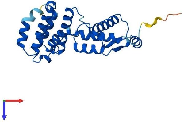 GID8/C20orf11 Protein (AA 1-228) (His tag)