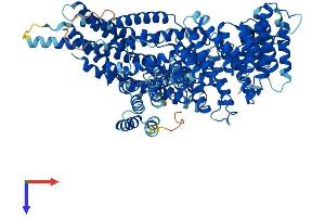 NAA25 Protein (AA 1-972) (His tag)