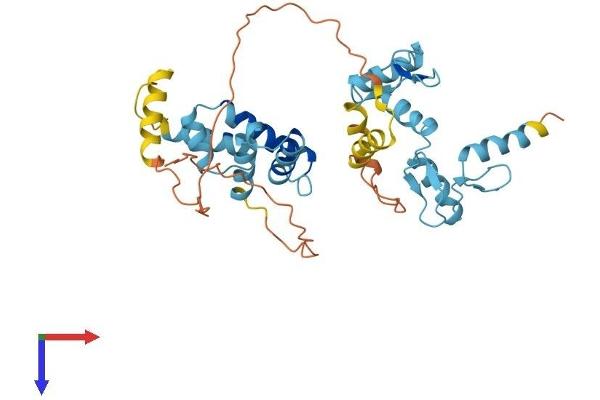 ZSCAN16 Protein (AA 1-348) (His tag)
